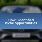 How I identified niche opportunities