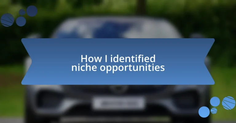 How I identified niche opportunities