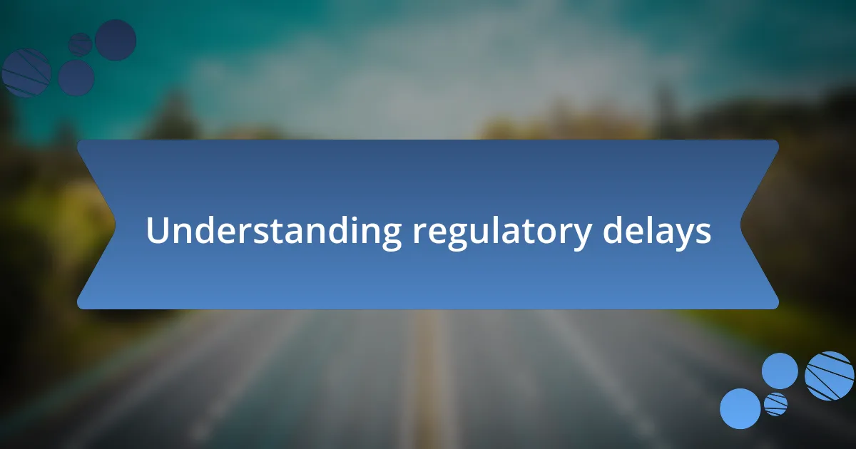 Understanding regulatory delays