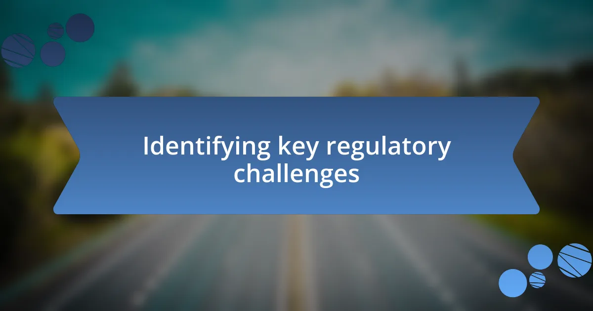 Identifying key regulatory challenges