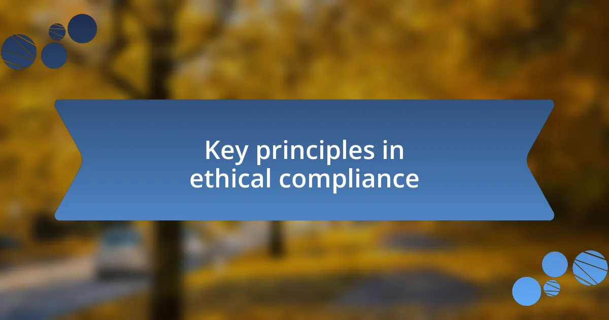 Key principles in ethical compliance