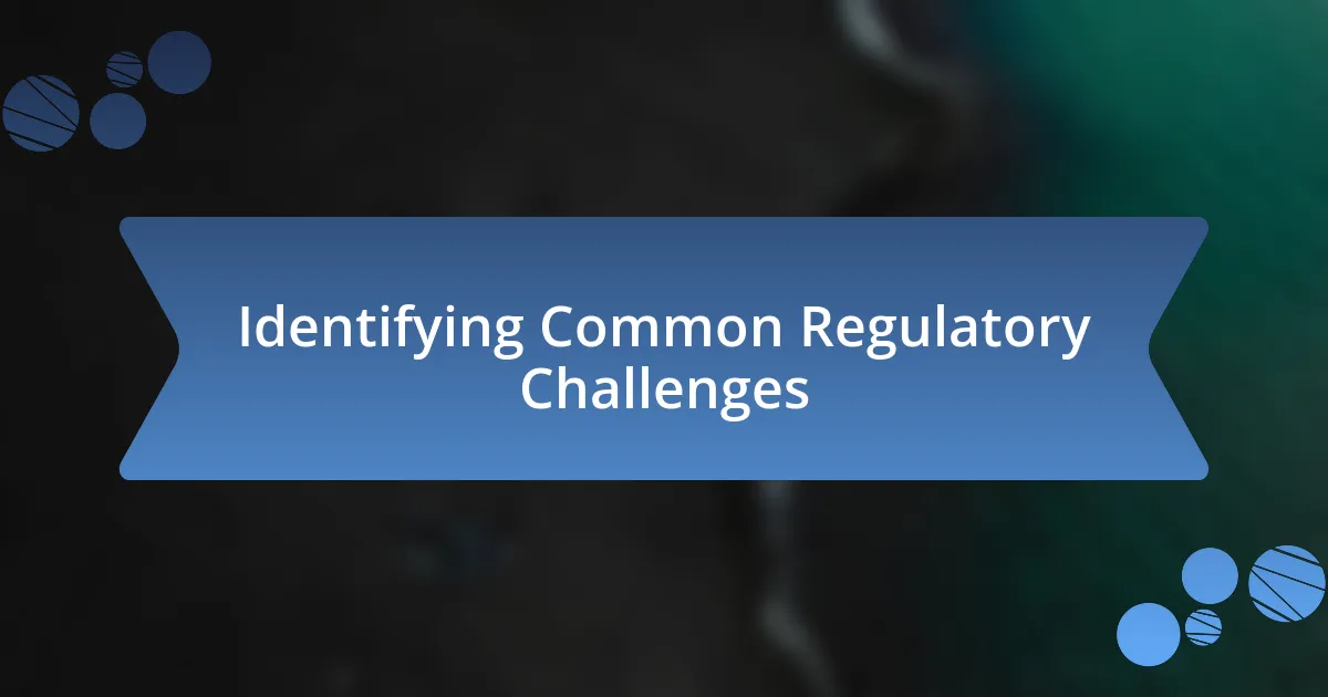 Identifying Common Regulatory Challenges