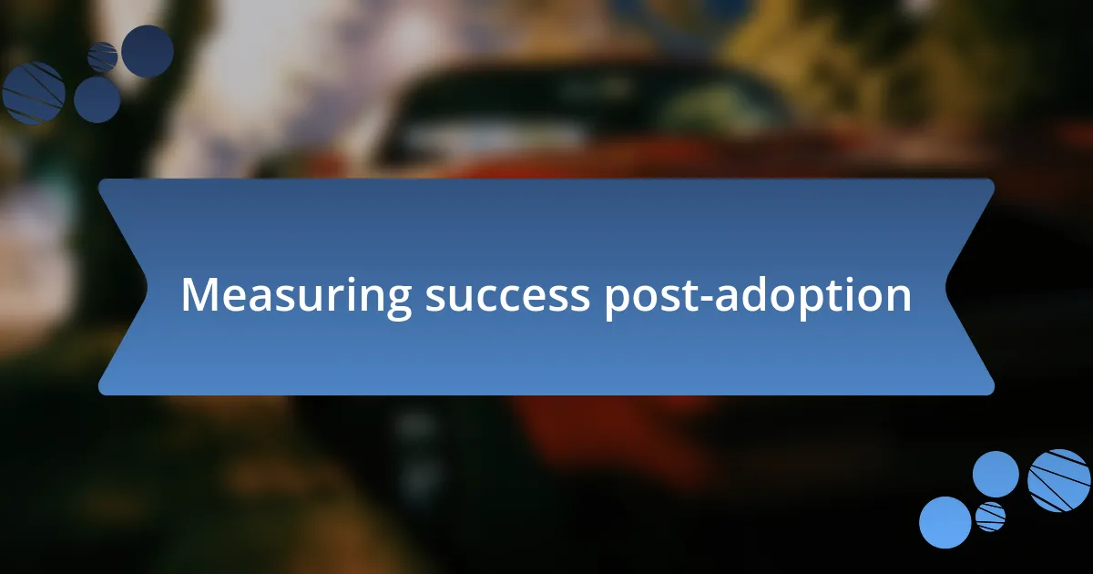 Measuring success post-adoption